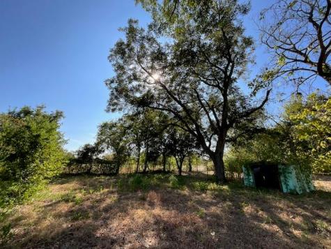 1005 W 8th Street Cameron TX 76520