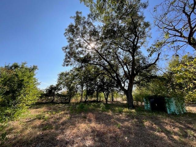 1005 W 8th Street Cameron TX 76520