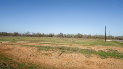 101 Azalea Court Dale TX 78616
