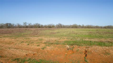 101 Azalea Court Dale TX 78616