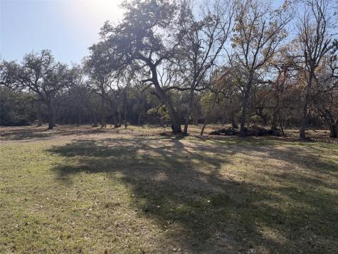 244 Buckskin Pass Driftwood TX 78619