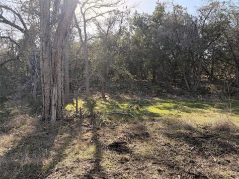 244 Buckskin Pass Driftwood TX 78619