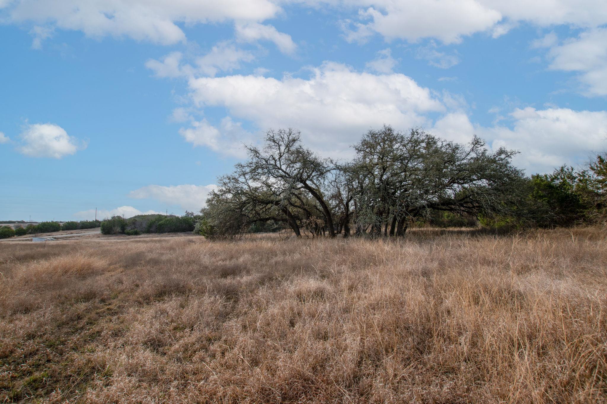 Tbd Burnet Oaks Lot 1 Drive Burnet TX 78611