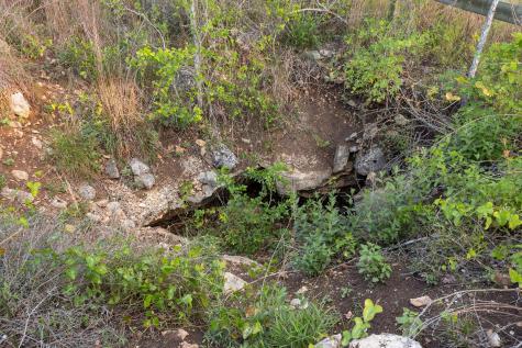 205 Mount Gainor Road Dripping Springs TX 78620