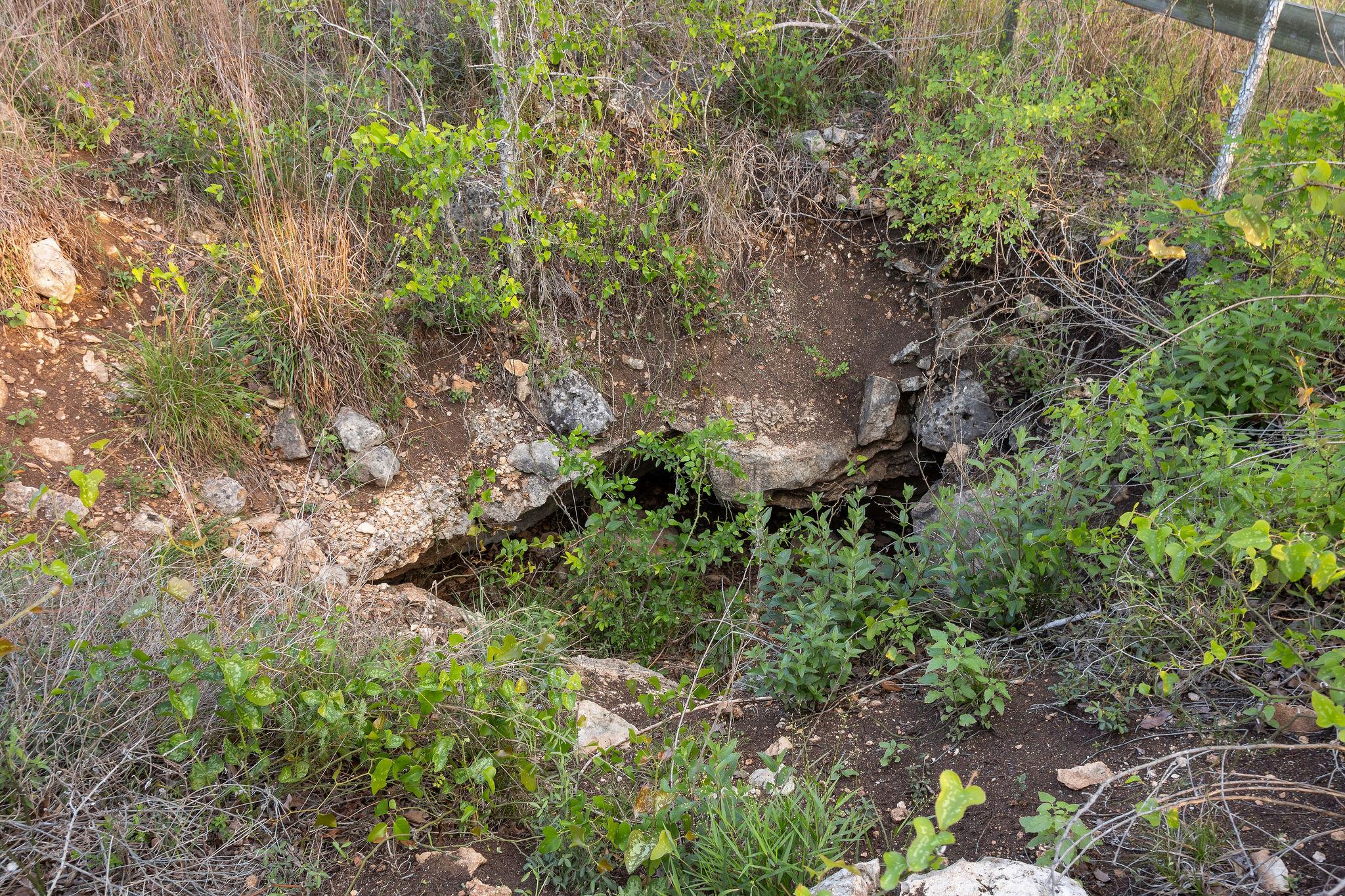 205 Mount Gainor Road Dripping Springs TX 78620