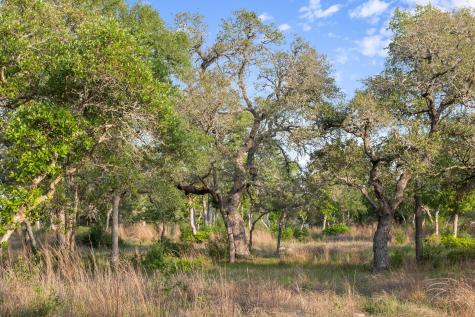 205 Mount Gainor Road Dripping Springs TX 78620