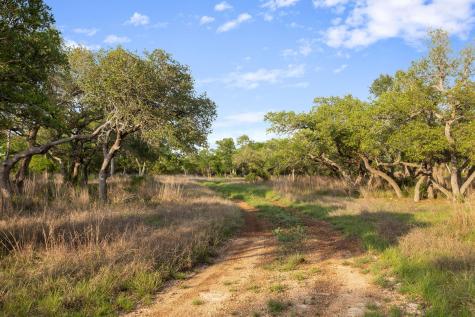 205 Mount Gainor Road Dripping Springs TX 78620