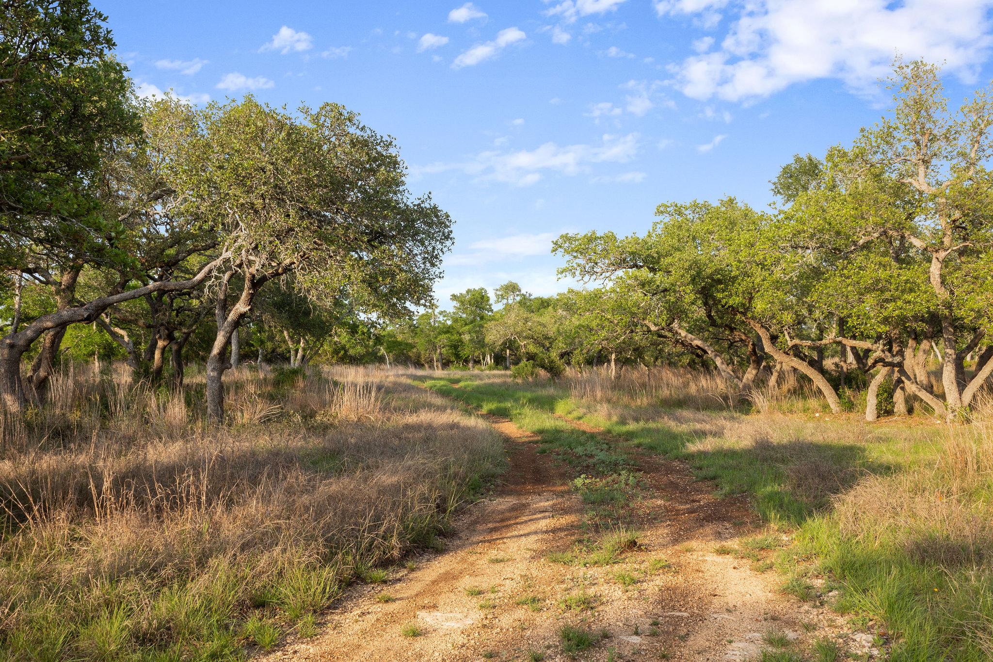 205 Mount Gainor Road Dripping Springs TX 78620