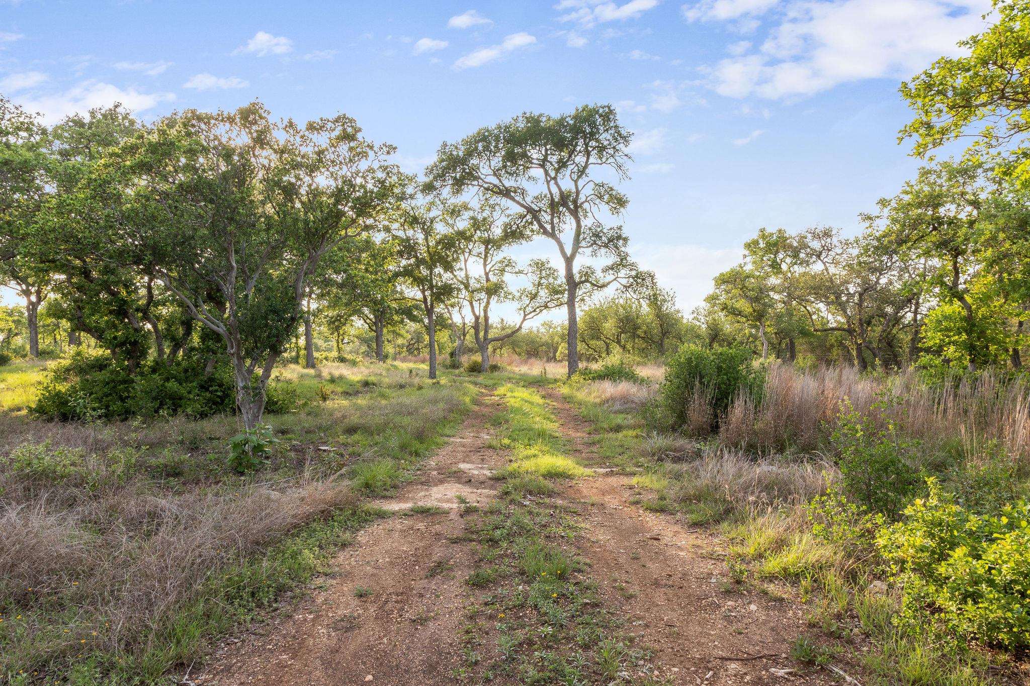 205 Mount Gainor Road Dripping Springs TX 78620