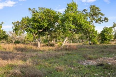 205 Mount Gainor Road Dripping Springs TX 78620