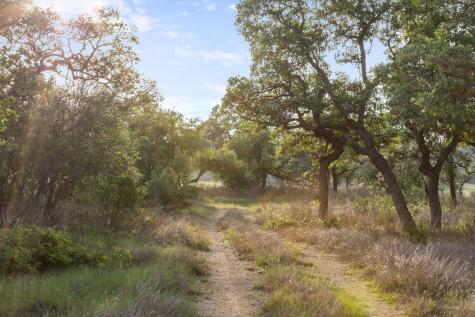 205 Mount Gainor Road Dripping Springs TX 78620
