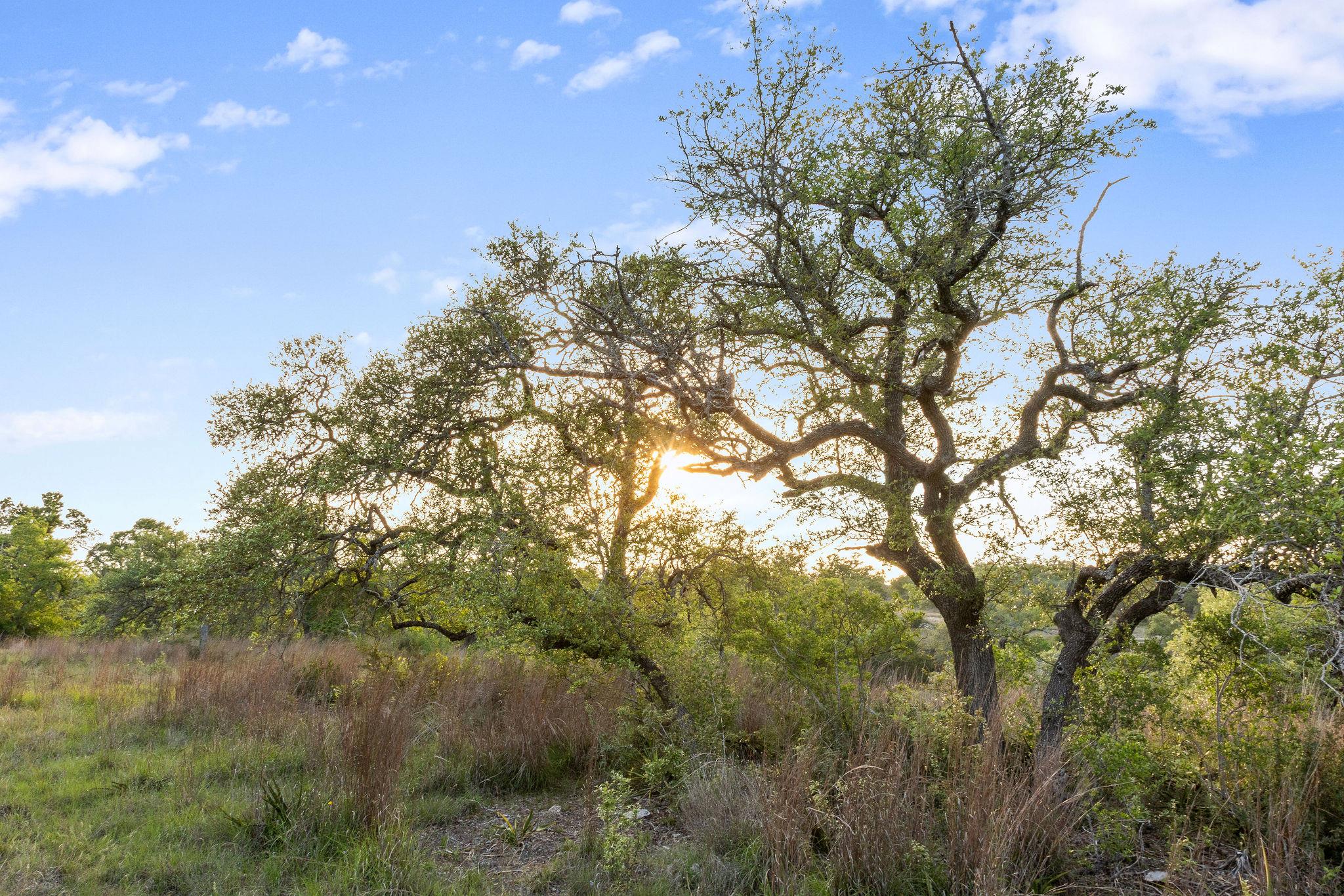 205 Mount Gainor Road Dripping Springs TX 78620
