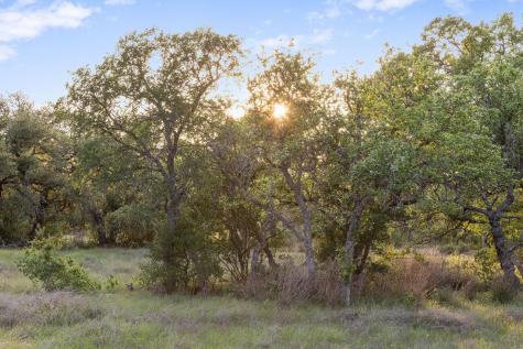 205 Mount Gainor Road Dripping Springs TX 78620