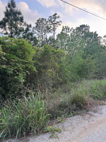 Lot 1386 N Pahihi Drive Bastrop TX 78602
