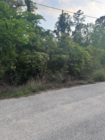 Lot 1386 N Pahihi Drive Bastrop TX 78602