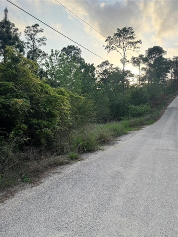 Lot 1386 N Pahihi Drive Bastrop TX 78602