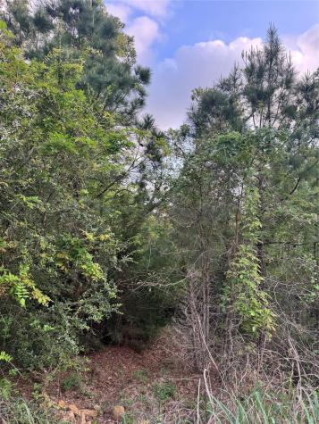 Lot 1386 N Pahihi Drive Bastrop TX 78602