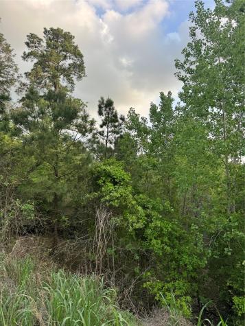 Lot 1386 N Pahihi Drive Bastrop TX 78602