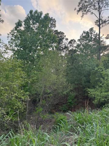 Lot 1386 N Pahihi Drive Bastrop TX 78602