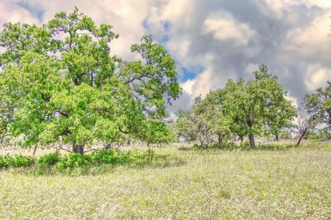 Lot 4 Rm 1323 Willow City TX 78675
