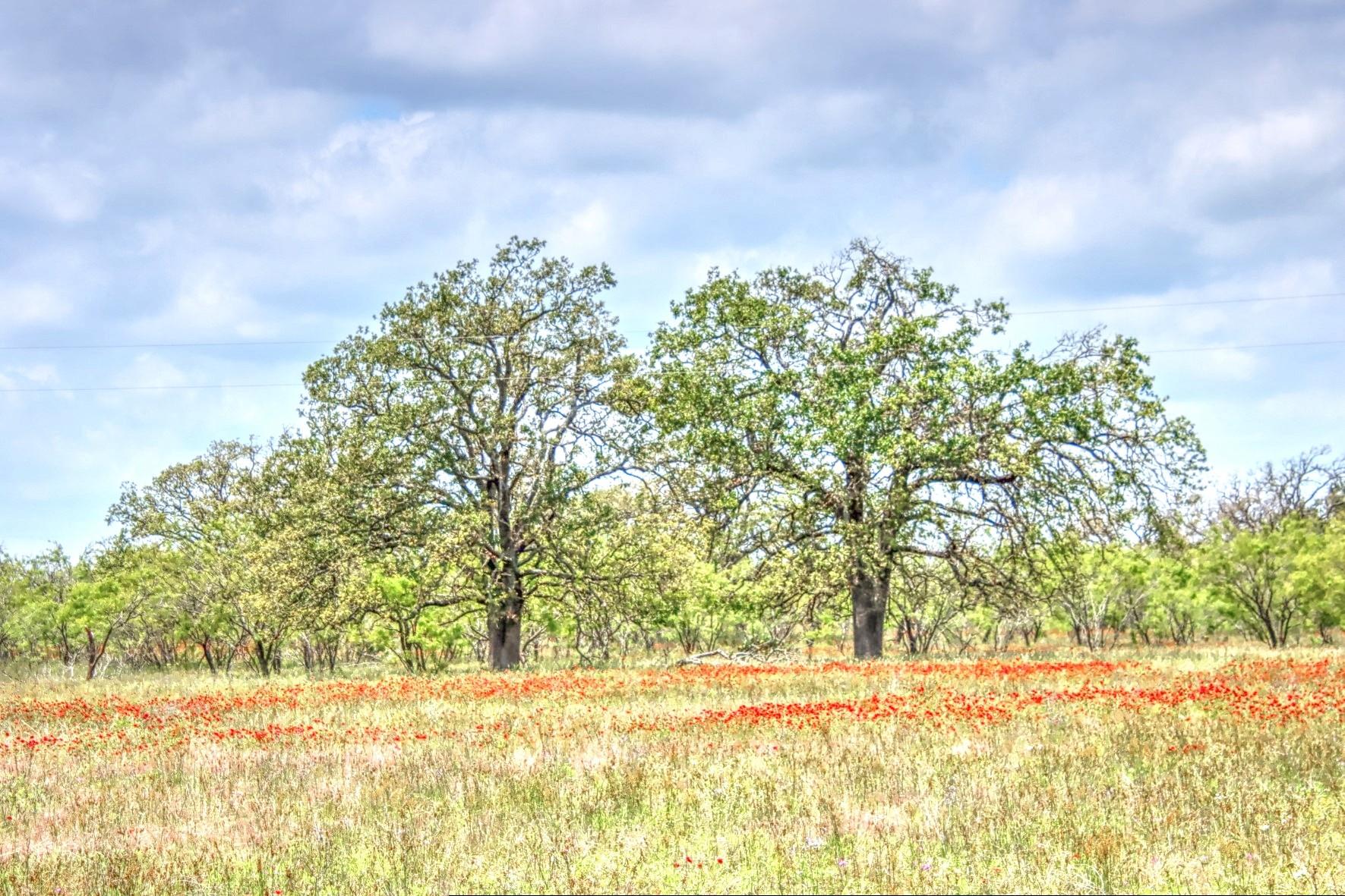 Lot 4 Rm 1323 Willow City TX 78675