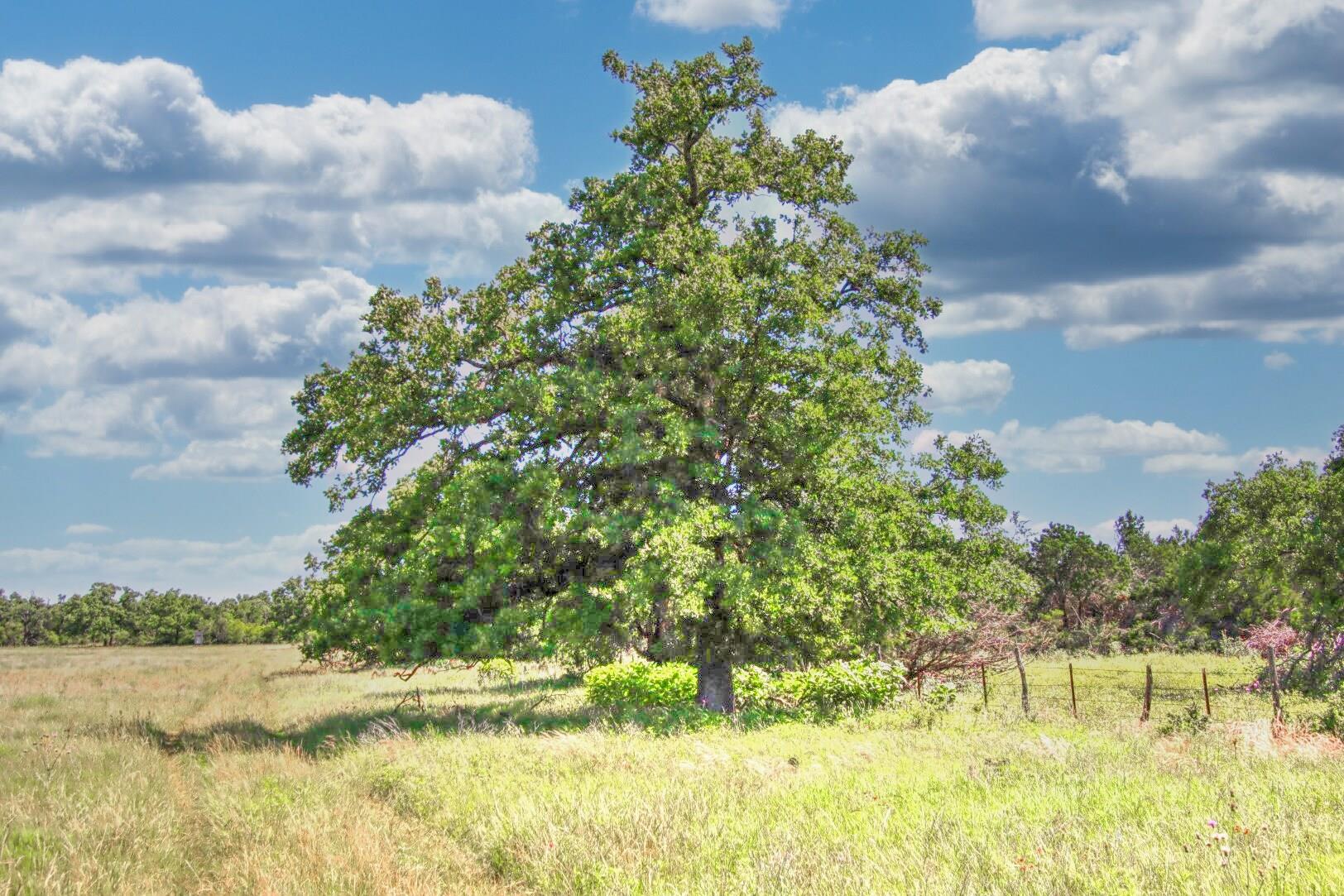 Lot 4 Rm 1323 Willow City TX 78675