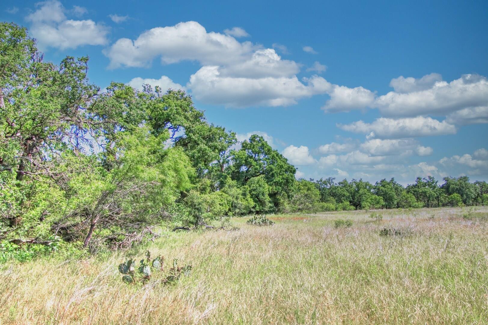 Lot 4 Rm 1323 Willow City TX 78675