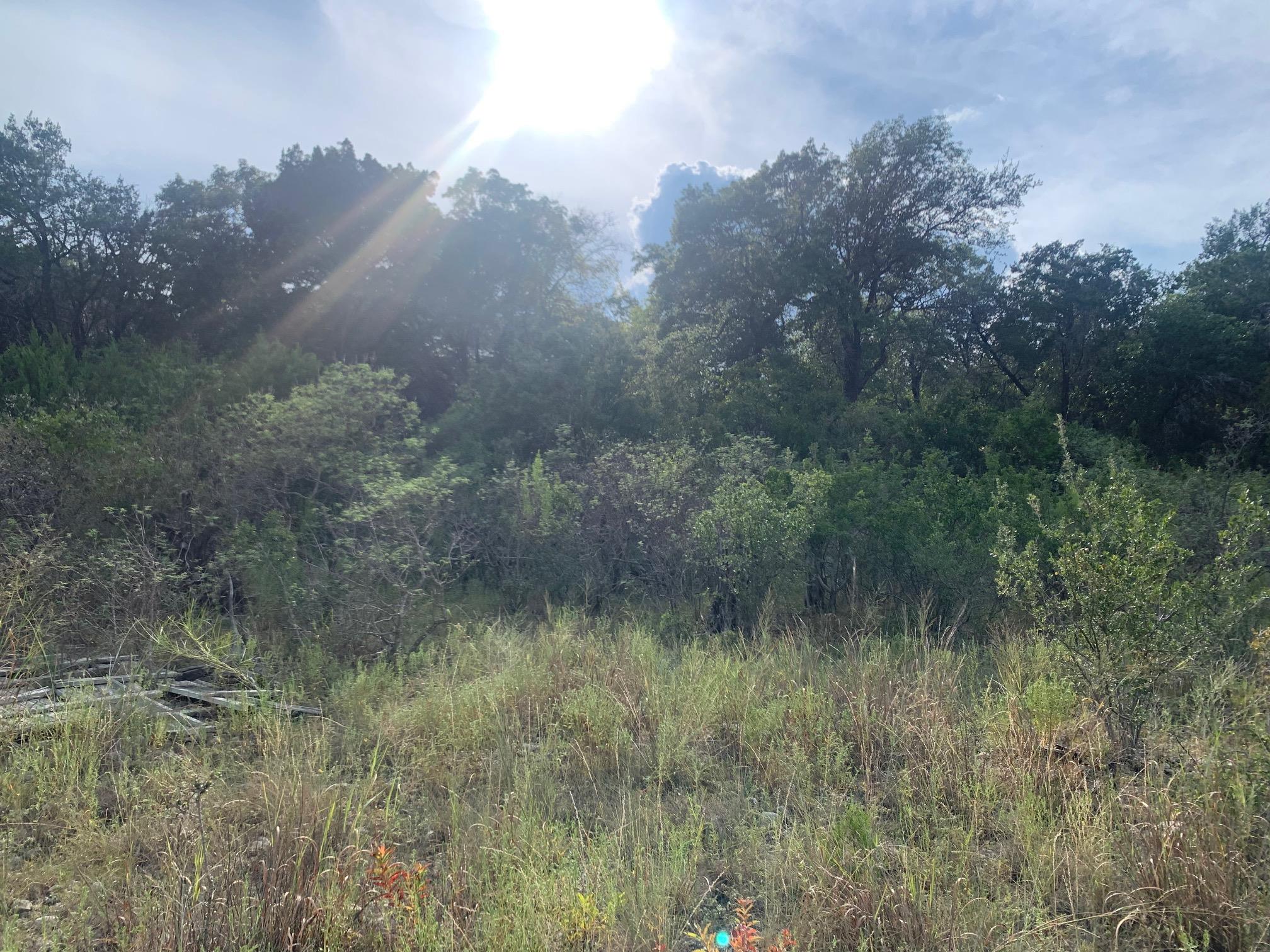 17140 Northlake Hills Drive Jonestown TX 78645