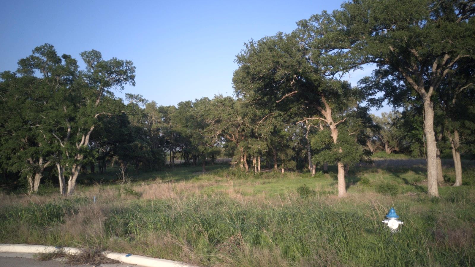 148 W Rio Ranch Road Liberty Hill TX 78642