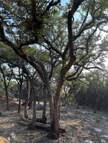 12333A Ranch Road 12 Wimberley TX 78676