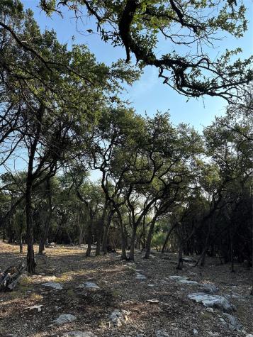 12333A Ranch Road 12 Wimberley TX 78676