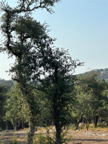 12333A Ranch Road 12 Wimberley TX 78676
