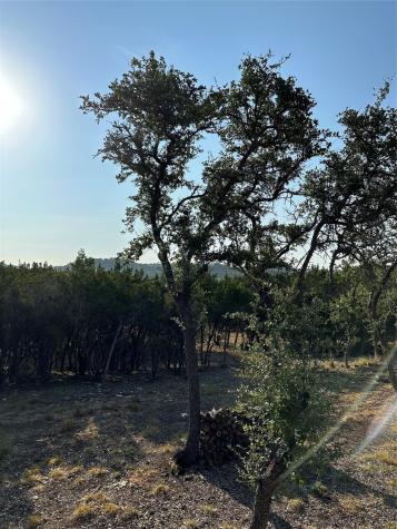 12333A Ranch Road 12 Wimberley TX 78676
