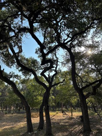 12333A Ranch Road 12 Wimberley TX 78676