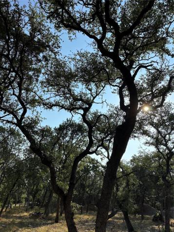 12333A Ranch Road 12 Wimberley TX 78676
