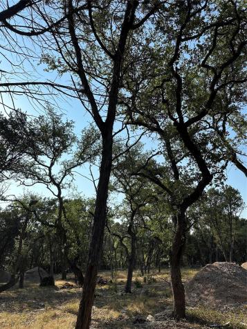 12333A Ranch Road 12 Wimberley TX 78676