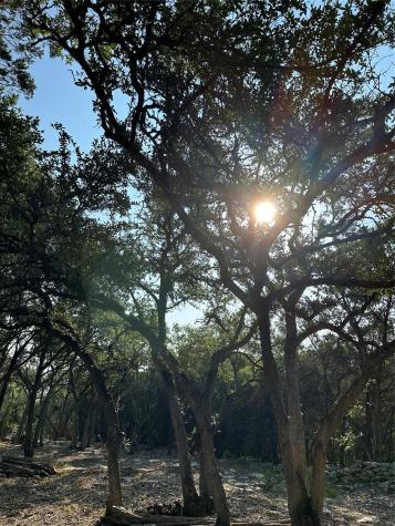 12333A Ranch Road 12 Wimberley TX 78676