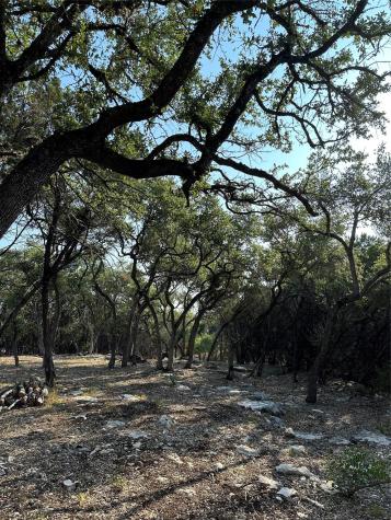 12333A Ranch Road 12 Wimberley TX 78676