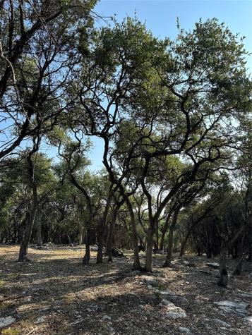 12333A Ranch Road 12 Wimberley TX 78676