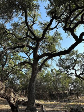 12333A Ranch Road 12 Wimberley TX 78676
