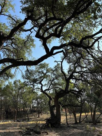 12333A Ranch Road 12 Wimberley TX 78676