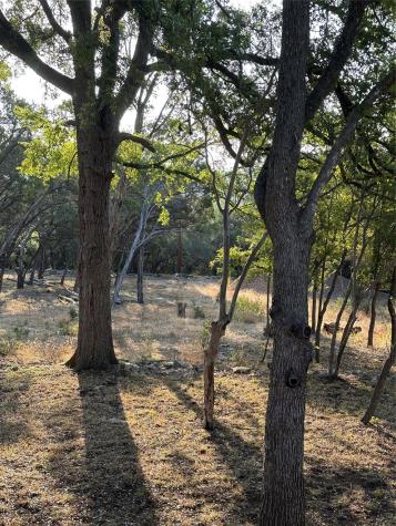 12333A Ranch Road 12 Wimberley TX 78676