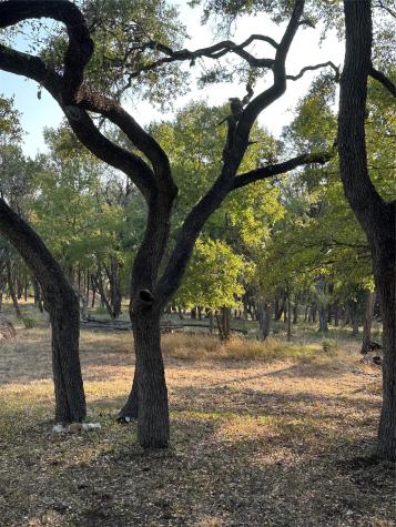 12333A Ranch Road 12 Wimberley TX 78676