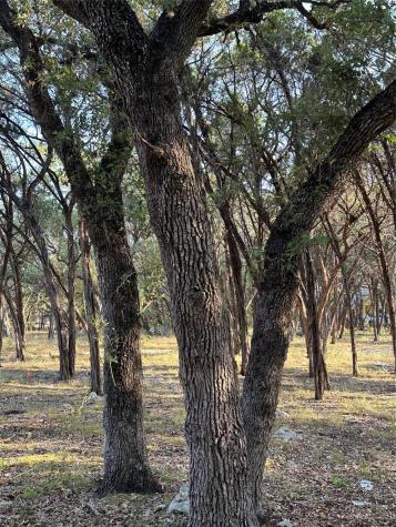12333A Ranch Road 12 Wimberley TX 78676