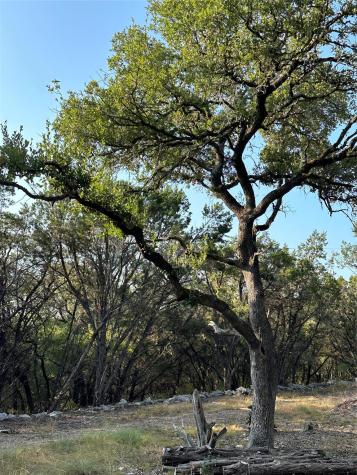 12333A Ranch Road 12 Wimberley TX 78676