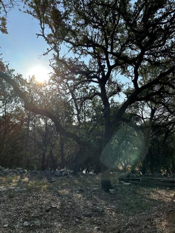 12333A Ranch Road 12 Wimberley TX 78676