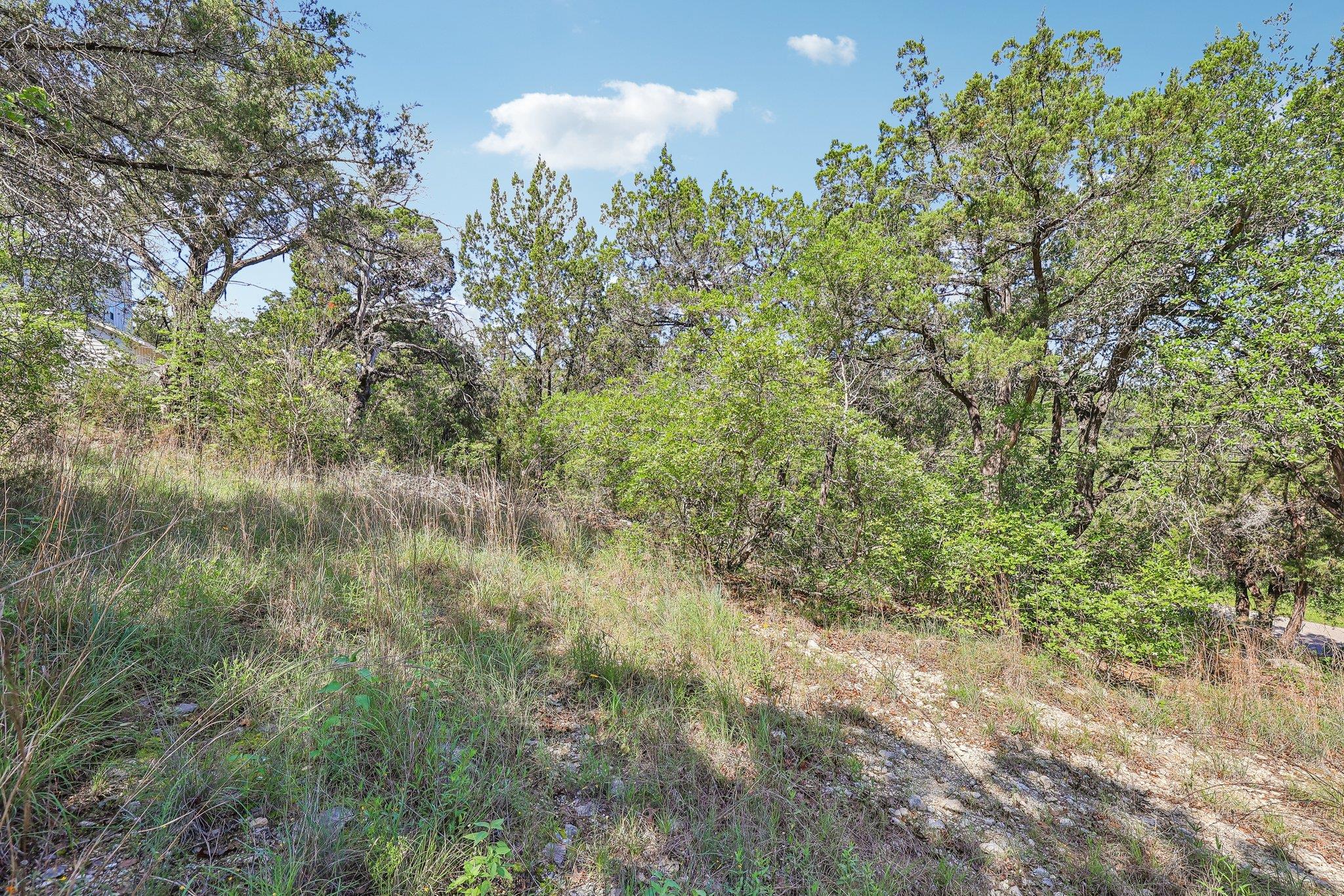 2405 Crazyhorse Pass Austin TX 78734