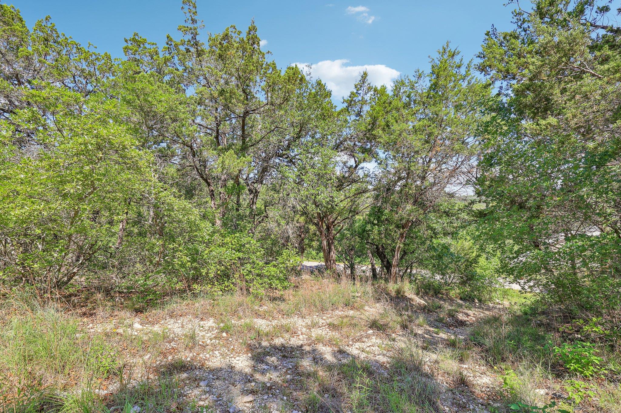 2405 Crazyhorse Pass Austin TX 78734