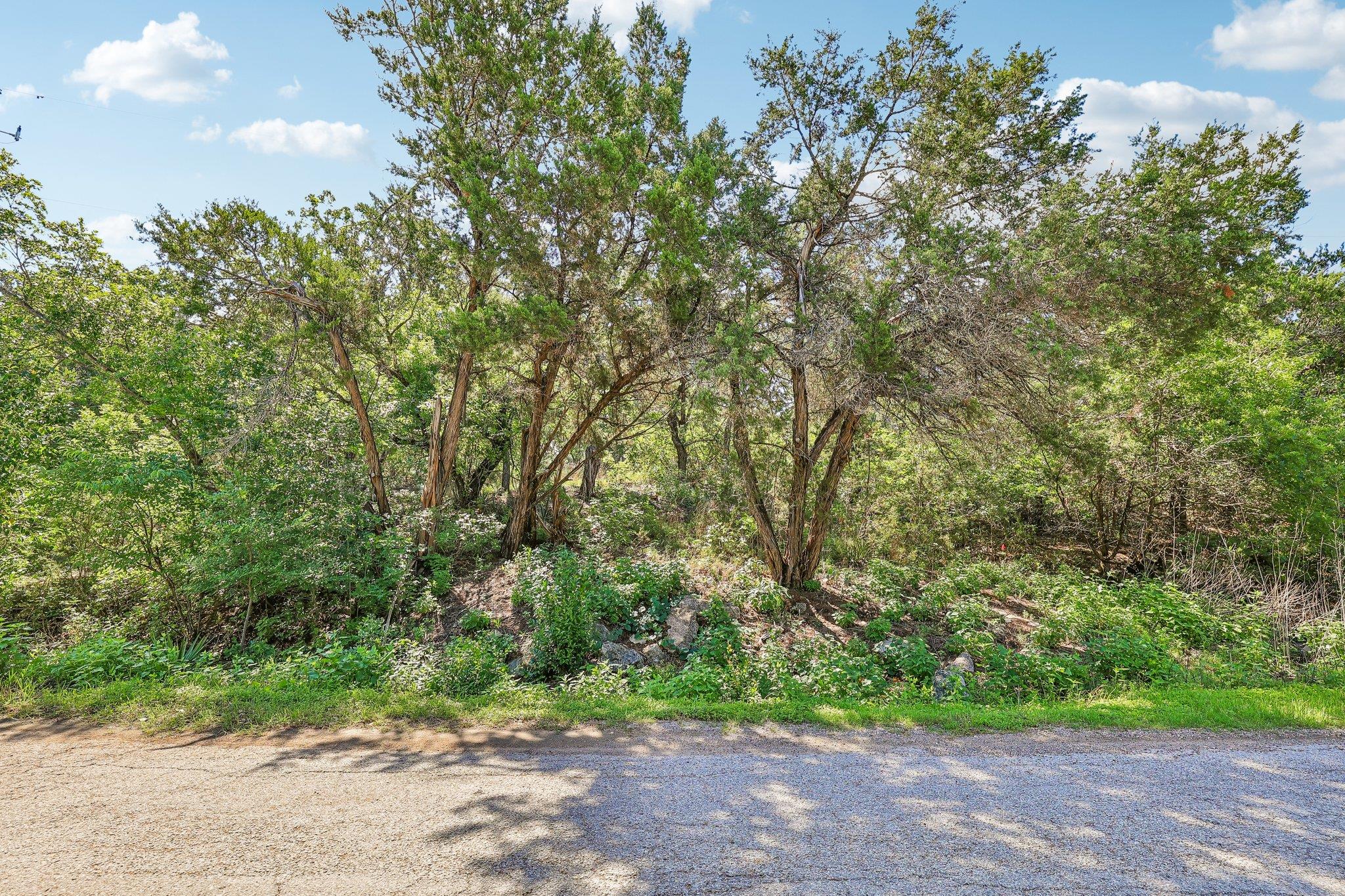 2405 Crazyhorse Pass Austin TX 78734