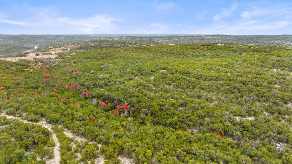 1216 Overland Stage Road Dripping Springs TX 78620